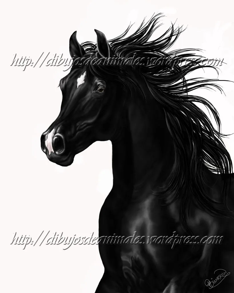 Pamela | Dibujos de Animales