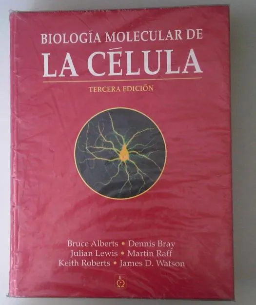 pamelita Marín - About - Google+