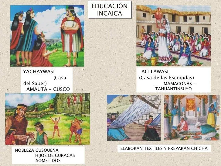 pamermanifestaciones- ...