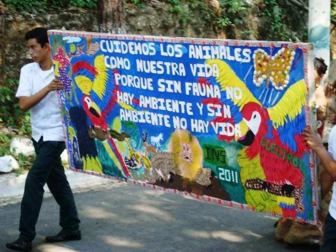 Pancartas del medio ambiente - Imagui