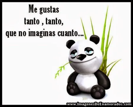 Pandas enamorados animados tiernos - Imagui
