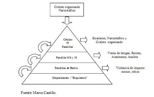 Pandillas en América, caso Guatemala - Monografias.com Pandillas en América, caso Guatemala - Monografias.com