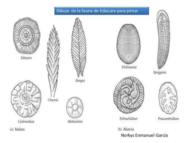 pangea-25-638.jpg?cb=1388754308