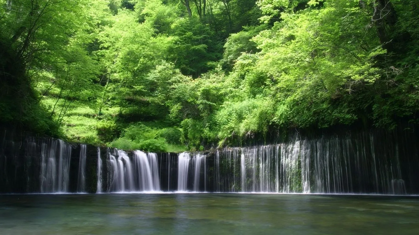 pantalla rocas, cascadas, hojas verdes, naturaleza, foto Imágenes HD ...