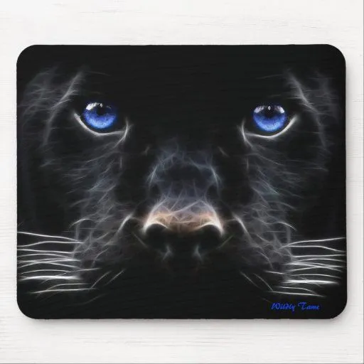 Pantera negra alfombrilla de ratones de Zazzle. Pantera negra alfombrilla de ratones de Zazzle.
