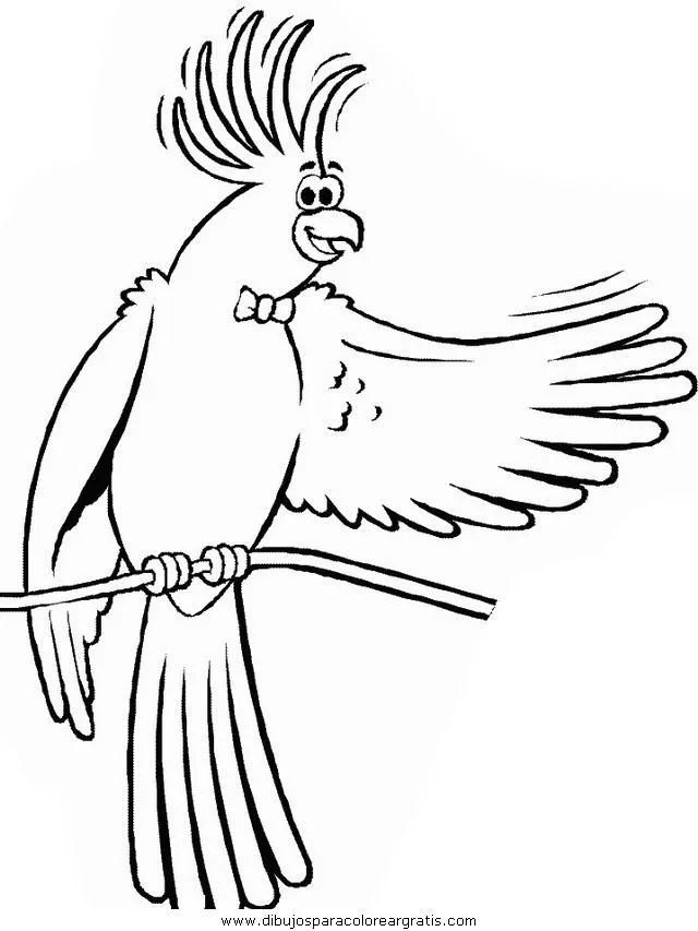 papagayos Colouring Pages (page 3)