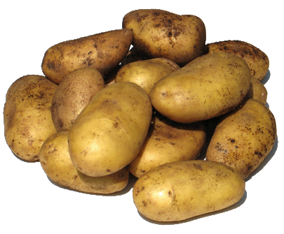 PAPAS.gif