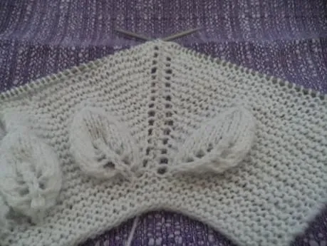 PAP...chaquetita canesu hojas