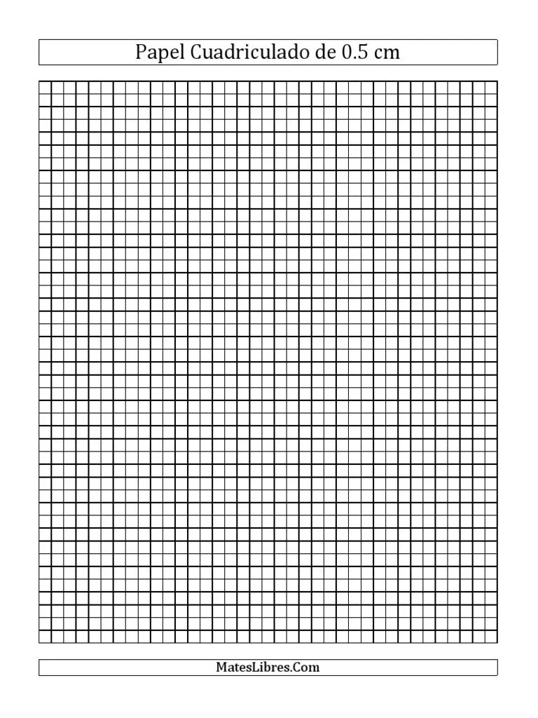 Papel Cuadriculado 0.5 CM 001 | PDF
