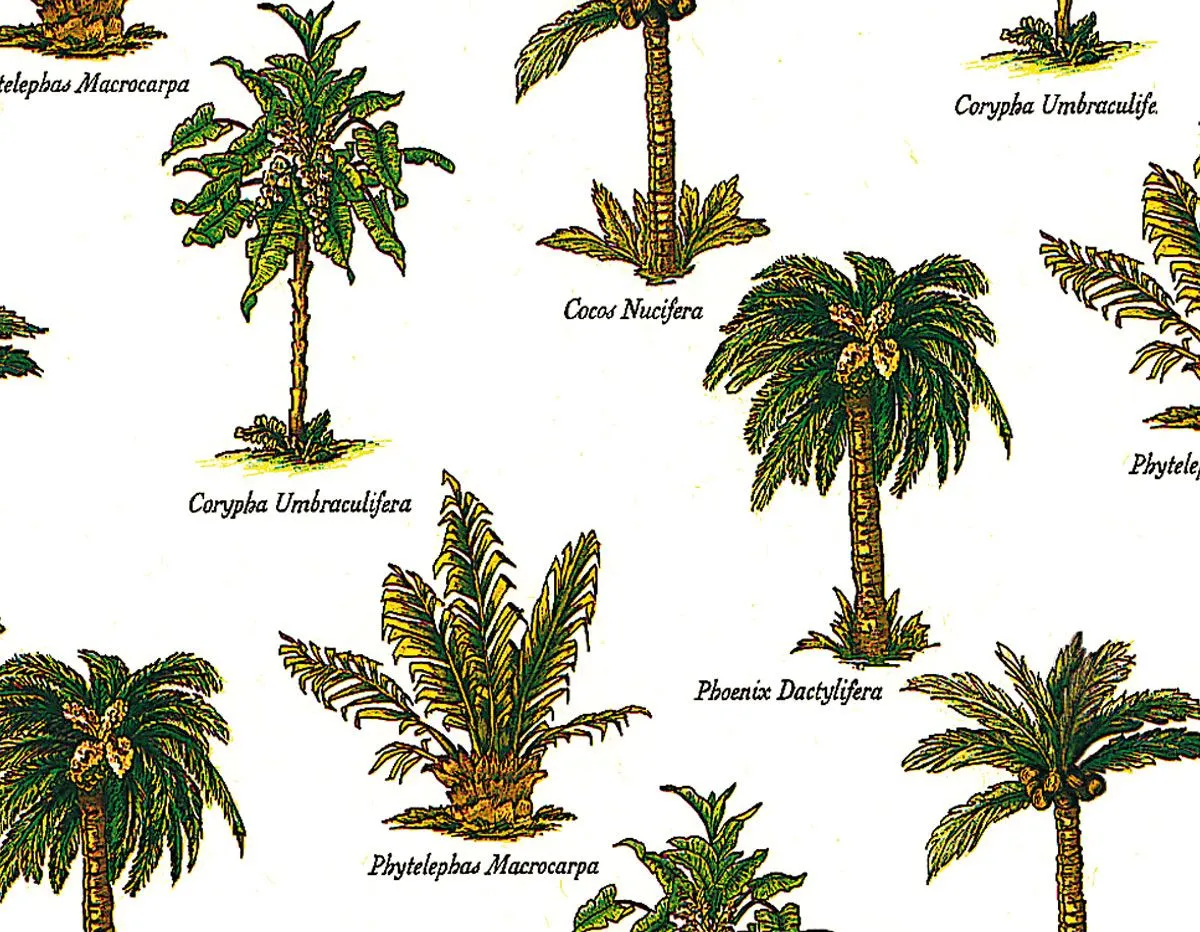 Papel para decoupage palmeras Manualidades 301719 Papel para decoupage palmeras Manualidades 301719
