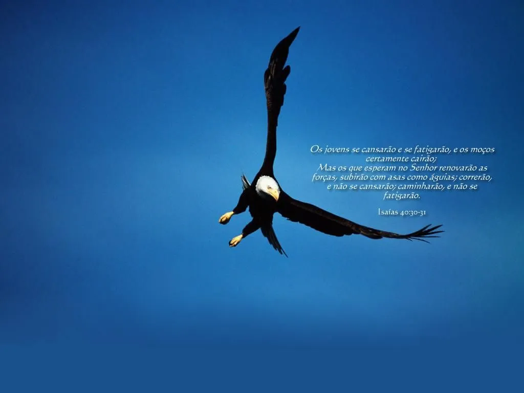 Ayuda Universal: Papel de Parede Gospel / Wallpaper Ayuda Universal: Papel de Parede Gospel / Wallpaper