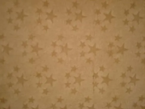 Plancha virgen de papel Chino