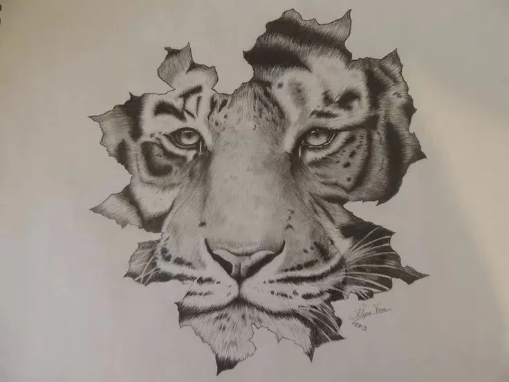 Tigre Blanco". Lápiz portamina 2b, 4b sobre papel blanco. Lápiz de ... Tigre Blanco". Lápiz portamina 2b, 4b sobre papel blanco. Lápiz de ...