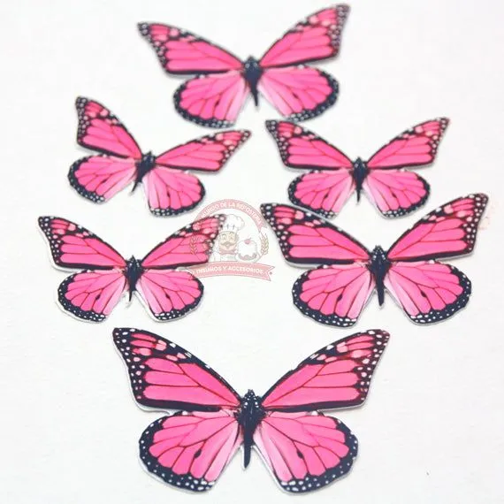 Paquete 7 Mariposas Con Fondo De Color P/ Decorar – El Mundo de la Repostería Paquete 7 Mariposas Con Fondo De Color P/ Decorar – El Mundo de la Repostería