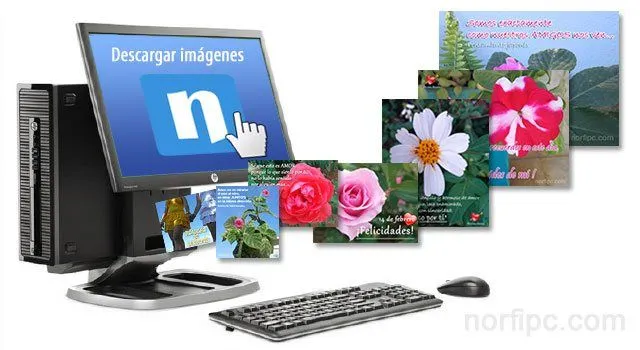 Paquetes de imágenes de amor para descargar gratis Paquetes de imágenes de amor para descargar gratis