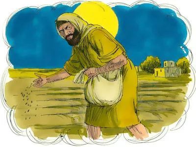 La parábola del trigo y la cizaña | ObreroFiel La parábola del trigo y la cizaña | ObreroFiel