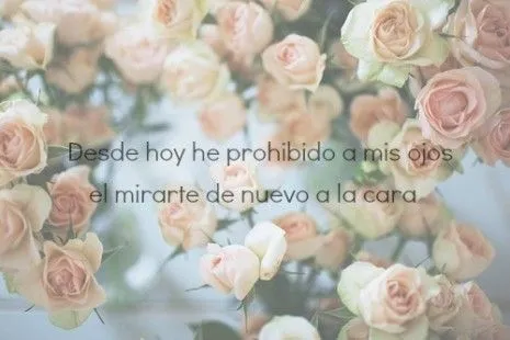 PARAÍSO DE FRASES • creditos: letras olvidadas