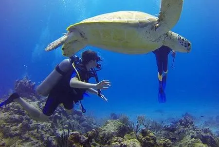 Los 5 paraísos submarinos que deberías visitar al menos un vez en ... Los 5 paraísos submarinos que deberías visitar al menos un vez en ...
