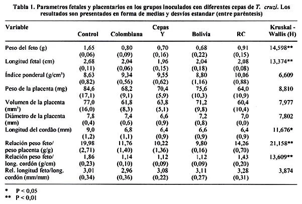 Parasitología latinoamericana - Efecto de la infección aguda por ...