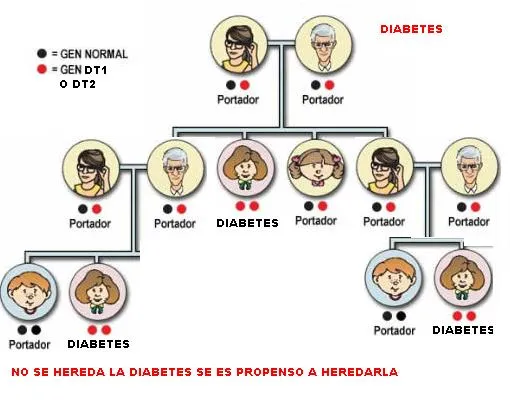 EL PARCHE 801 NZ: Genoma Humano! DIABETES ÁRBOL GENEALÓGICO EL PARCHE 801 NZ: Genoma Humano! DIABETES ÁRBOL GENEALÓGICO
