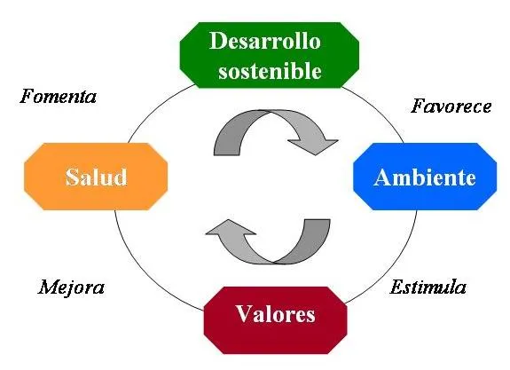 Segundo parcial: enero 2013