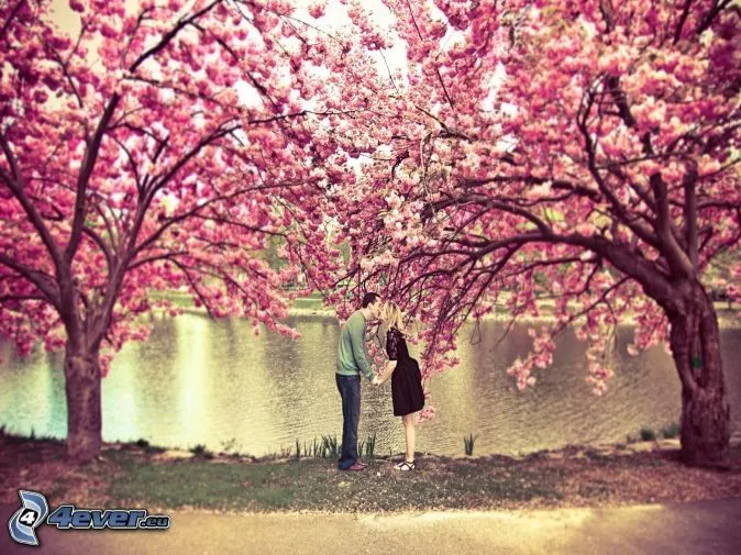 Pareja debajo de árbol