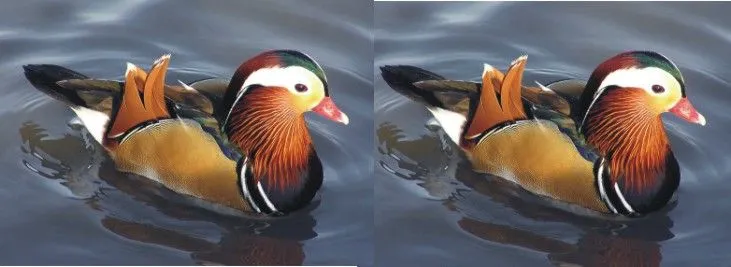 Pareja de patos mandarines | Feng Shui Sol Naciente Pareja de patos mandarines | Feng Shui Sol Naciente
