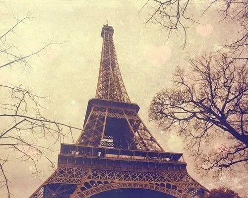 Paris: Paris Photography