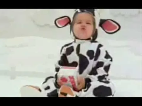 Parmalat - Comercial Mamíferos 1996 - YouTube