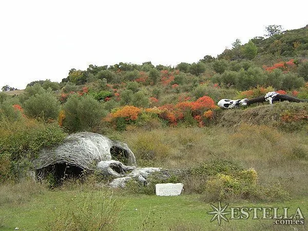El parque de los desvelados: naturaleza, muerte y calaveras ...
