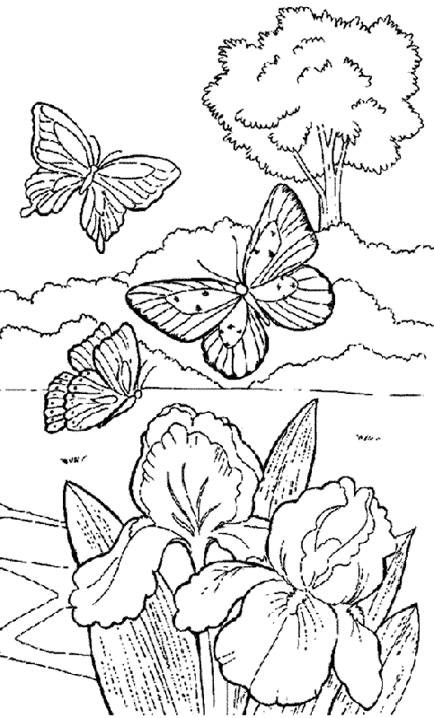 Dibujos por el dia del campesino PARA NIÑOS - Imagui