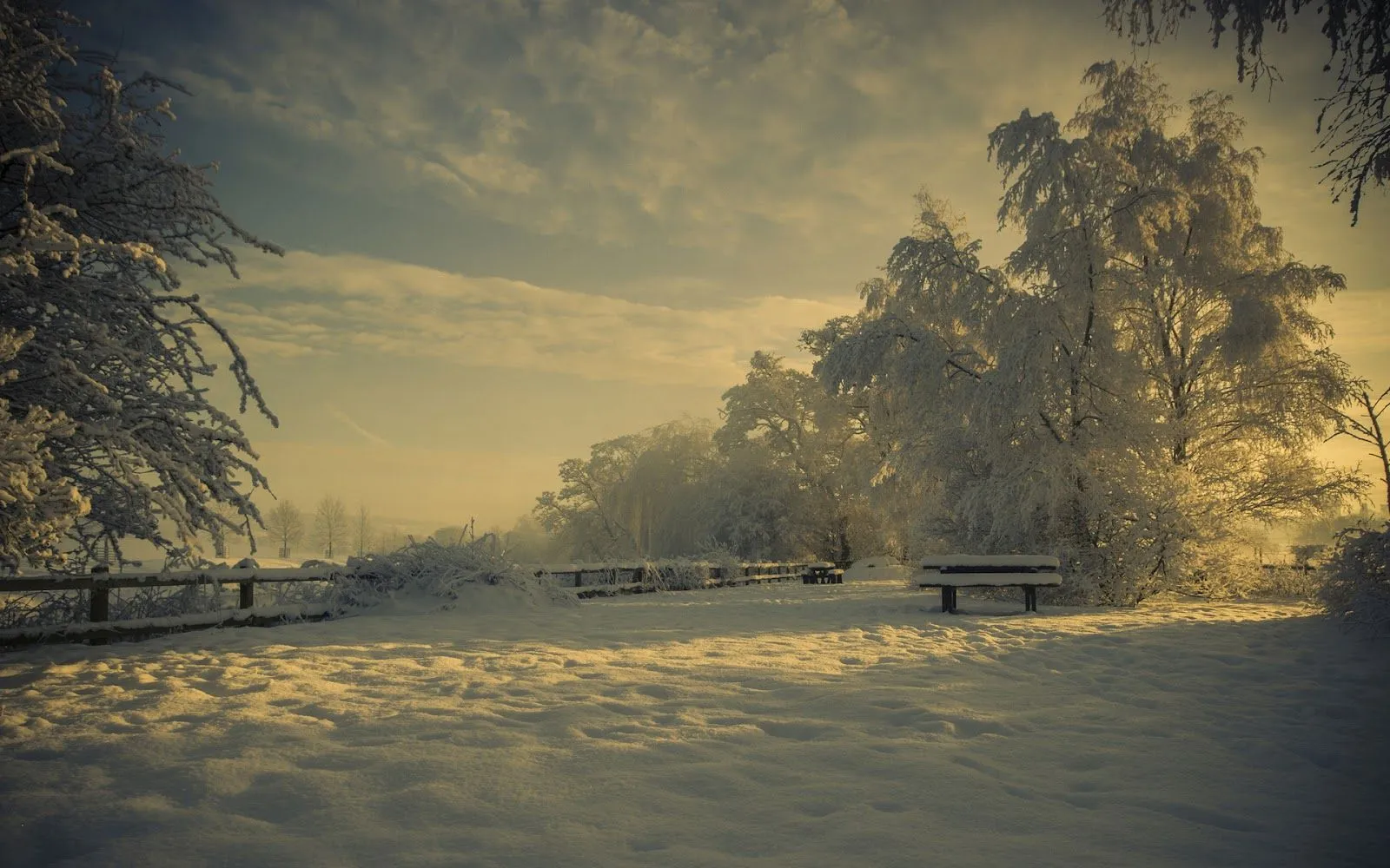 Parques en Invierno - Fondos de Pantalla HD - Wallpapers HD Parques en Invierno - Fondos de Pantalla HD - Wallpapers HD