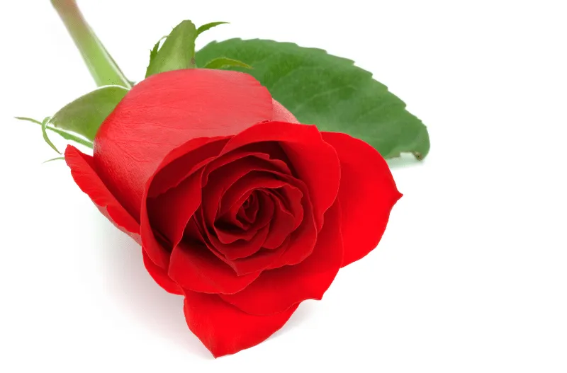 Parroquia de los Doce Apóstoles": SAN VALENTÍN - 14 DE FEBRERO - Parroquia de los Doce Apóstoles": SAN VALENTÍN - 14 DE FEBRERO -
