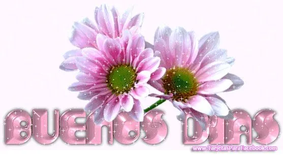 Imagenes de flores hermosas para FaceBook - Imagui Imagenes de flores hermosas para FaceBook - Imagui
