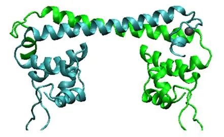 Part:BBa K346001 - parts.igem.org