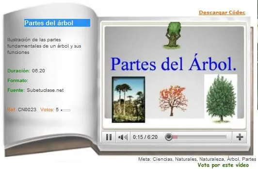 Partes del árbol | Recurso educativo 36236 - Tiching Partes del árbol | Recurso educativo 36236 - Tiching