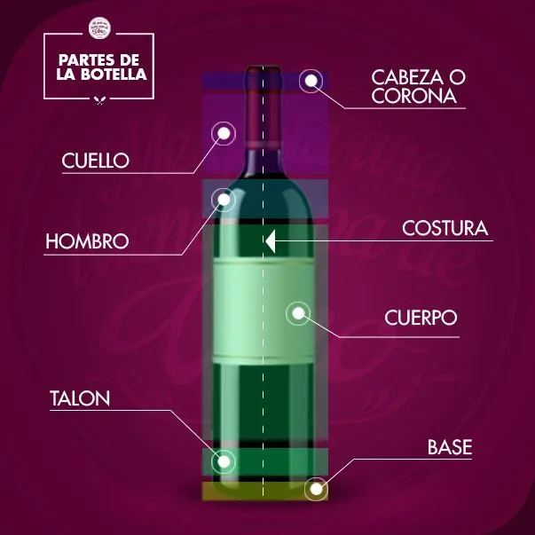 Las #Partes de la #Botella de #Vino! | Para saber más | Pinterest Las #Partes de la #Botella de #Vino! | Para saber más | Pinterest