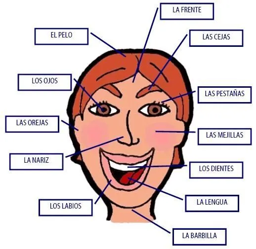 El tiempo. | Vocabulario | Pinterest