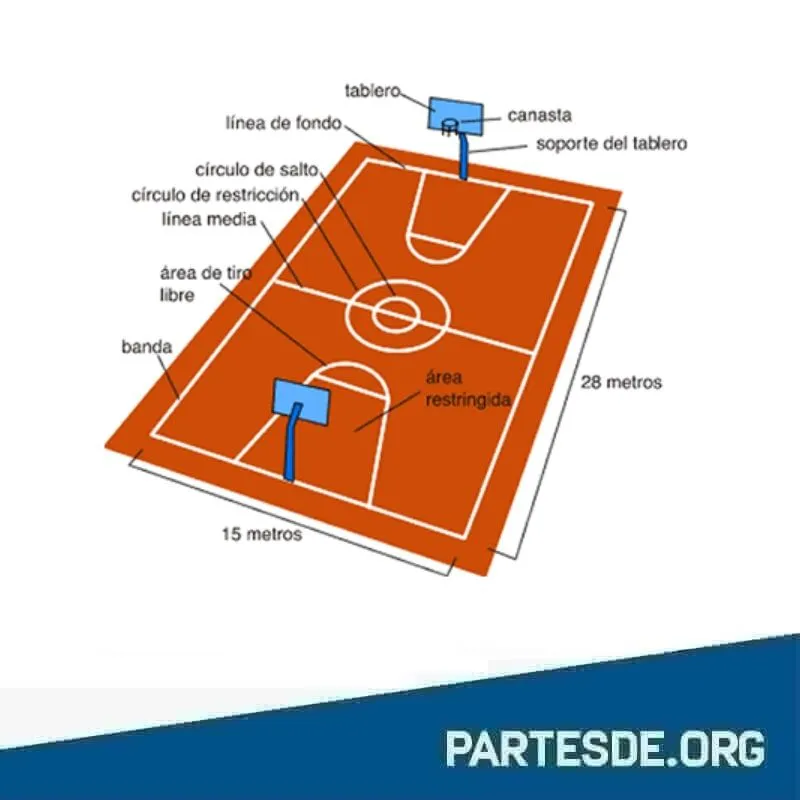 Partes de una Cancha de Básquet - PartesDe.org Partes de una Cancha de Básquet - PartesDe.org
