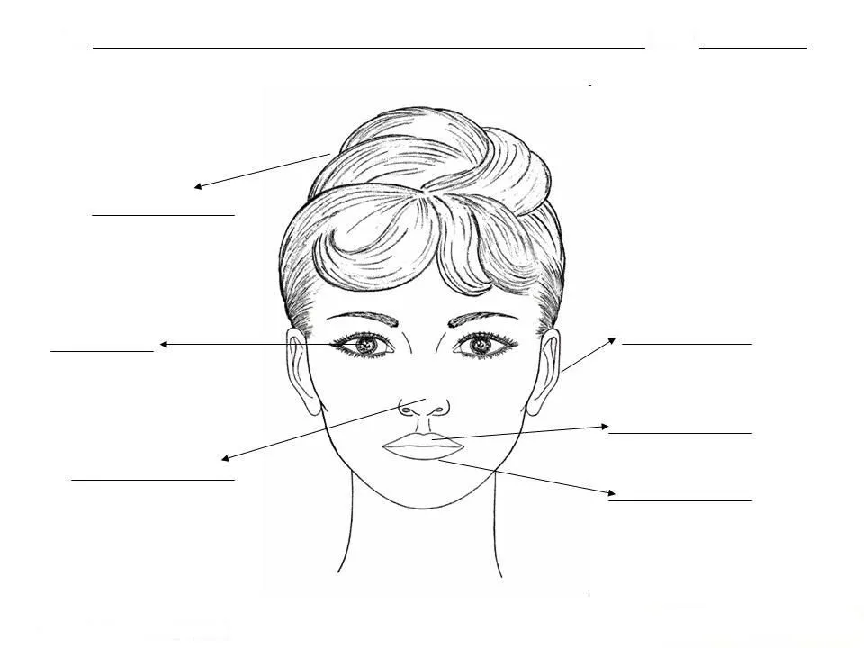 Partes del Rostro para colorear