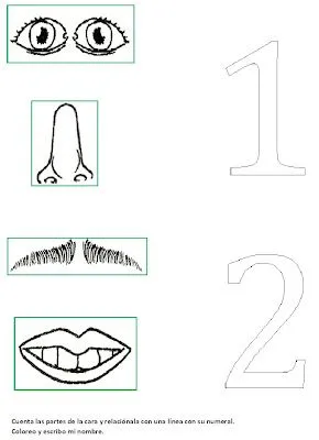 Partes de la cara para colorear - Imagui