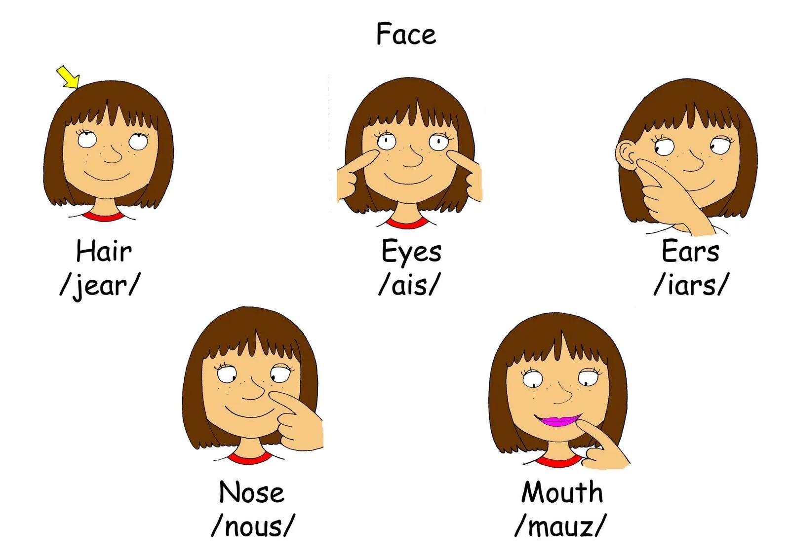 Partes de la cara para colorear EN INGLES - Imagui Partes de la cara para colorear EN INGLES - Imagui