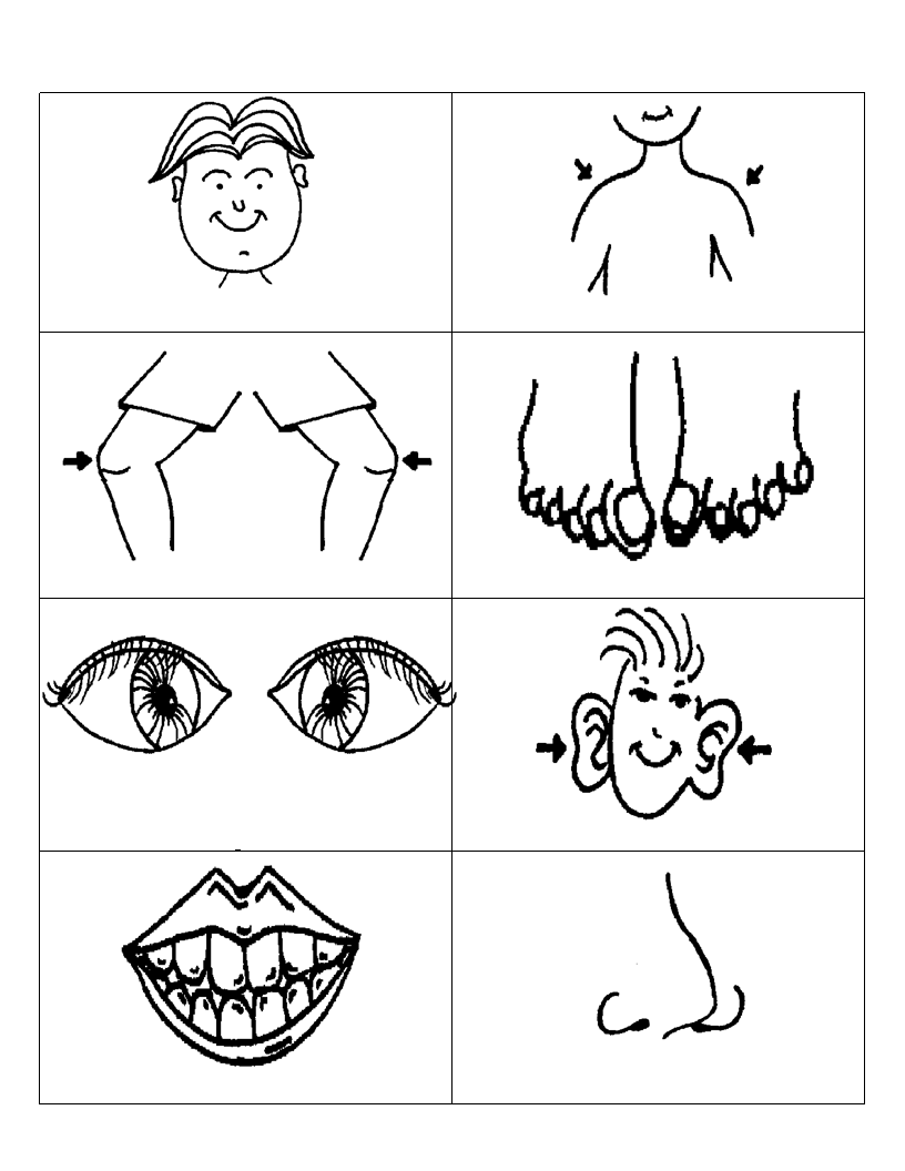 Partes de la cara humana para colorear - Imagui Partes de la cara humana para colorear - Imagui