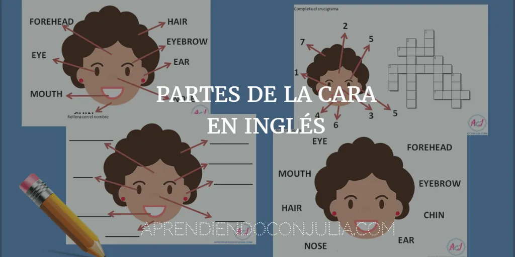 Partes de la cara en inglés - Fichas y actividades imprimibles - Aprendiendo con Julia Partes de la cara en inglés - Fichas y actividades imprimibles - Aprendiendo con Julia