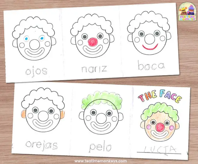 Partes de la Cara Libro Acordeón - Tea Time Monkeys Partes de la Cara Libro Acordeón - Tea Time Monkeys