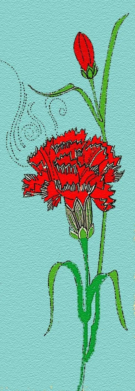 Partes del clavel - Imagui