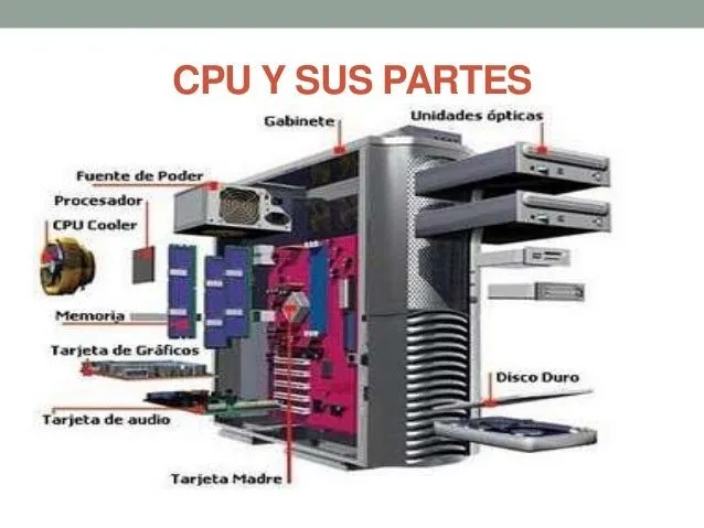 Partes de la computadora (2)