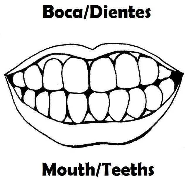 Partes del cuerpo para colorear Ingles-Español | Imagenes para ... Partes del cuerpo para colorear Ingles-Español | Imagenes para ...