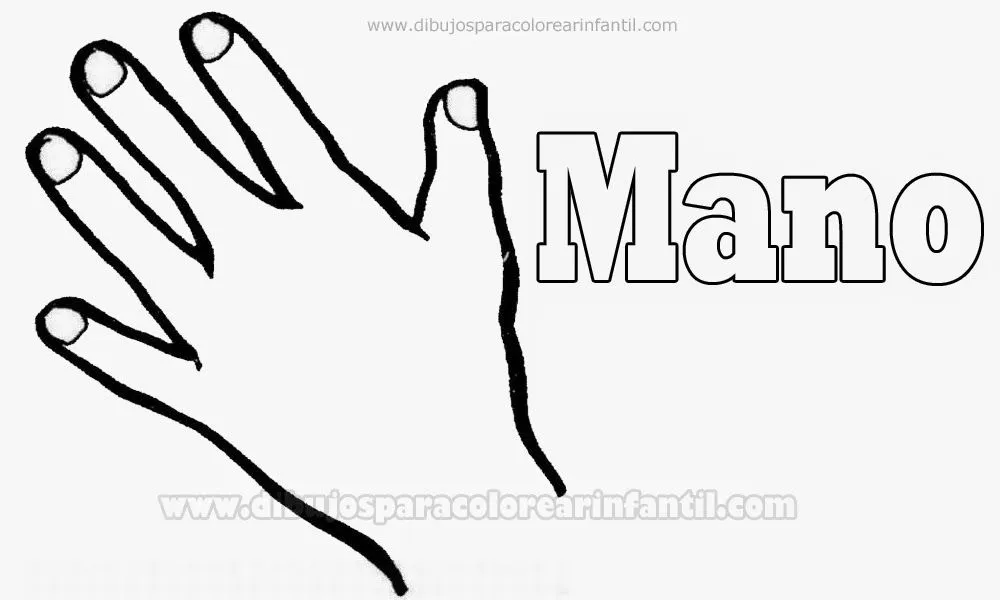 Partes del cuerpo para colorear: Mano ~ Dibujos para Colorear Infantil Partes del cuerpo para colorear: Mano ~ Dibujos para Colorear Infantil