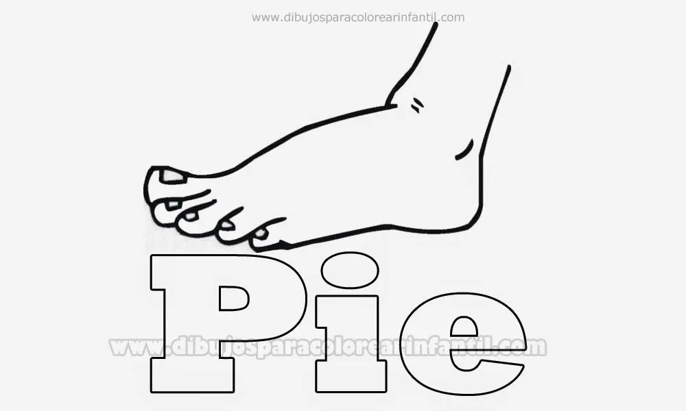 Partes del cuerpo para colorear: Pie ~ Dibujos para Colorear Infantil Partes del cuerpo para colorear: Pie ~ Dibujos para Colorear Infantil